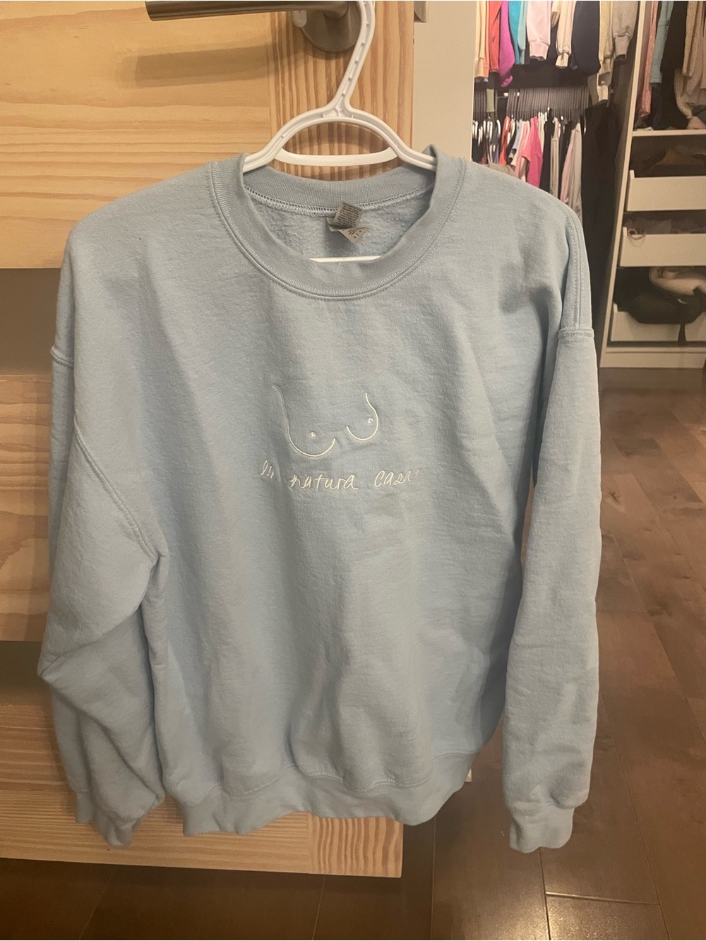 La Natura Casa Vintage Light Blue Women's Crewneck Sweatshirt - large